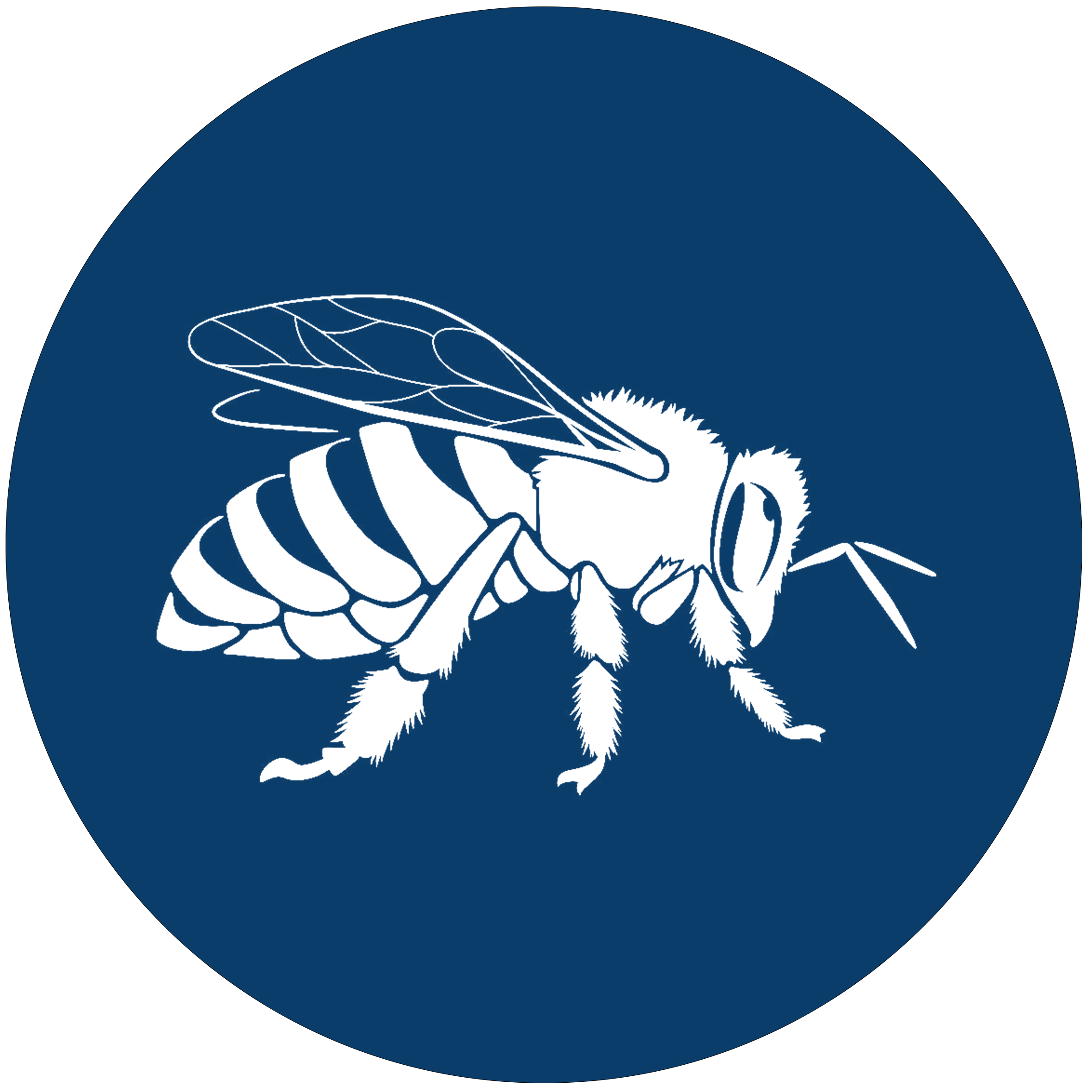 Bee-Vector-Icon