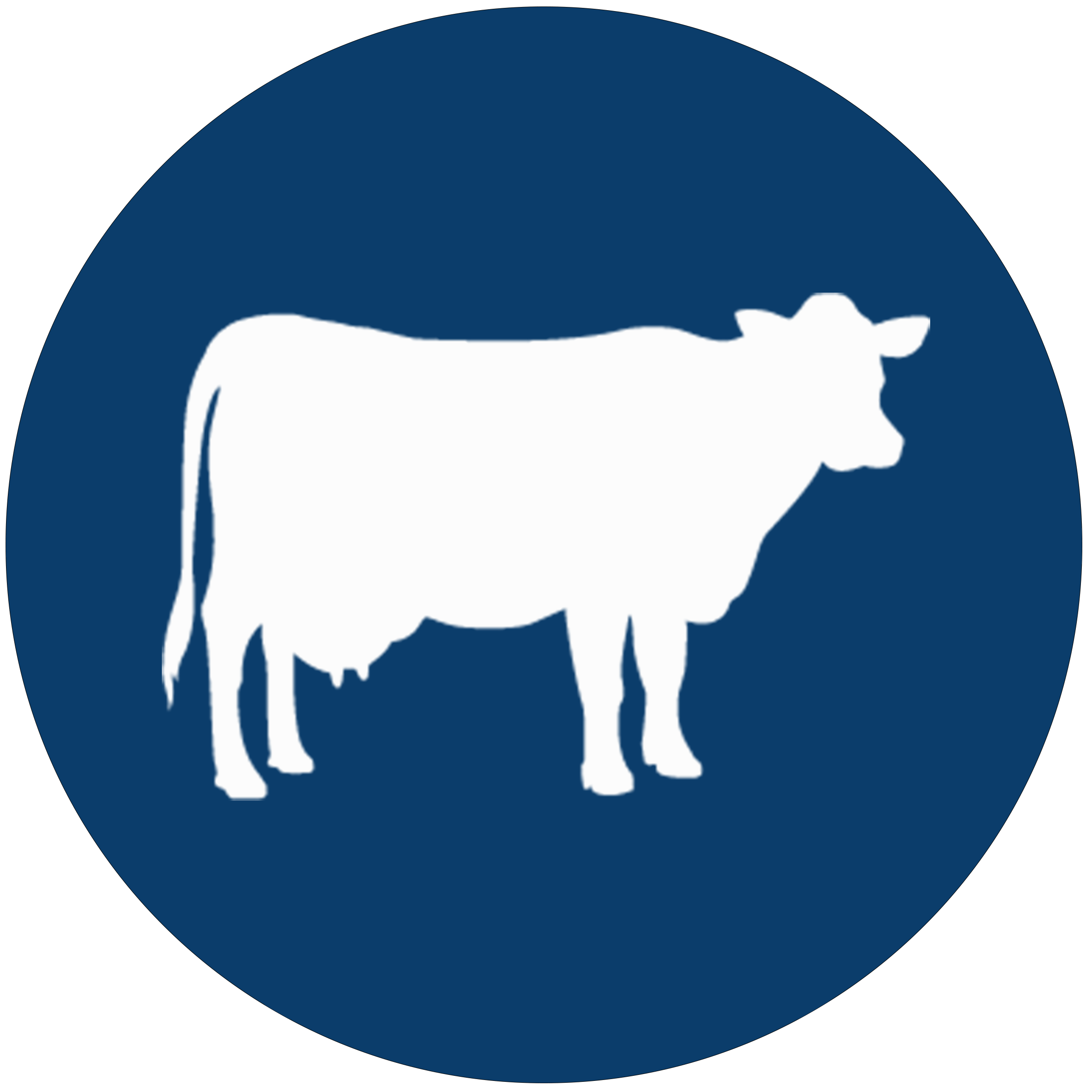 Cow-Vector-Icon
