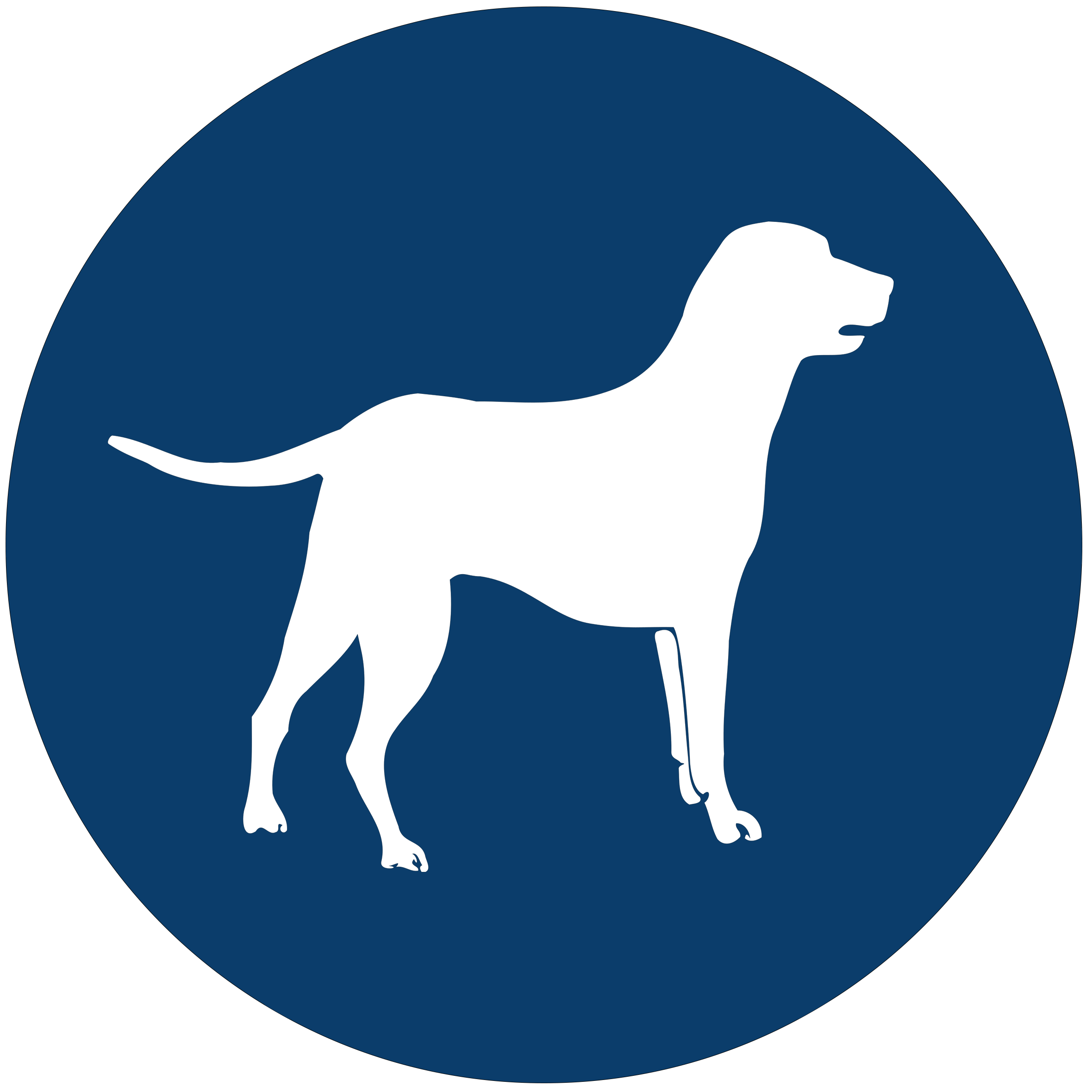 Dog-Vector-Icon