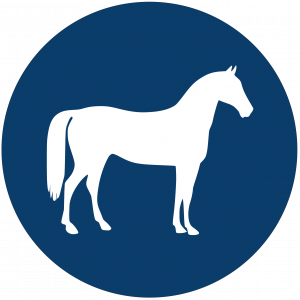 Horse-Vector-Icon