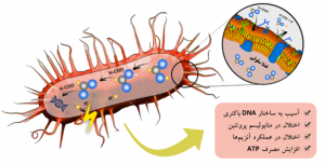 شکل 3- سازوکار عمل اسیدهای آلی در کنترل باکتری‌های بیماری زا